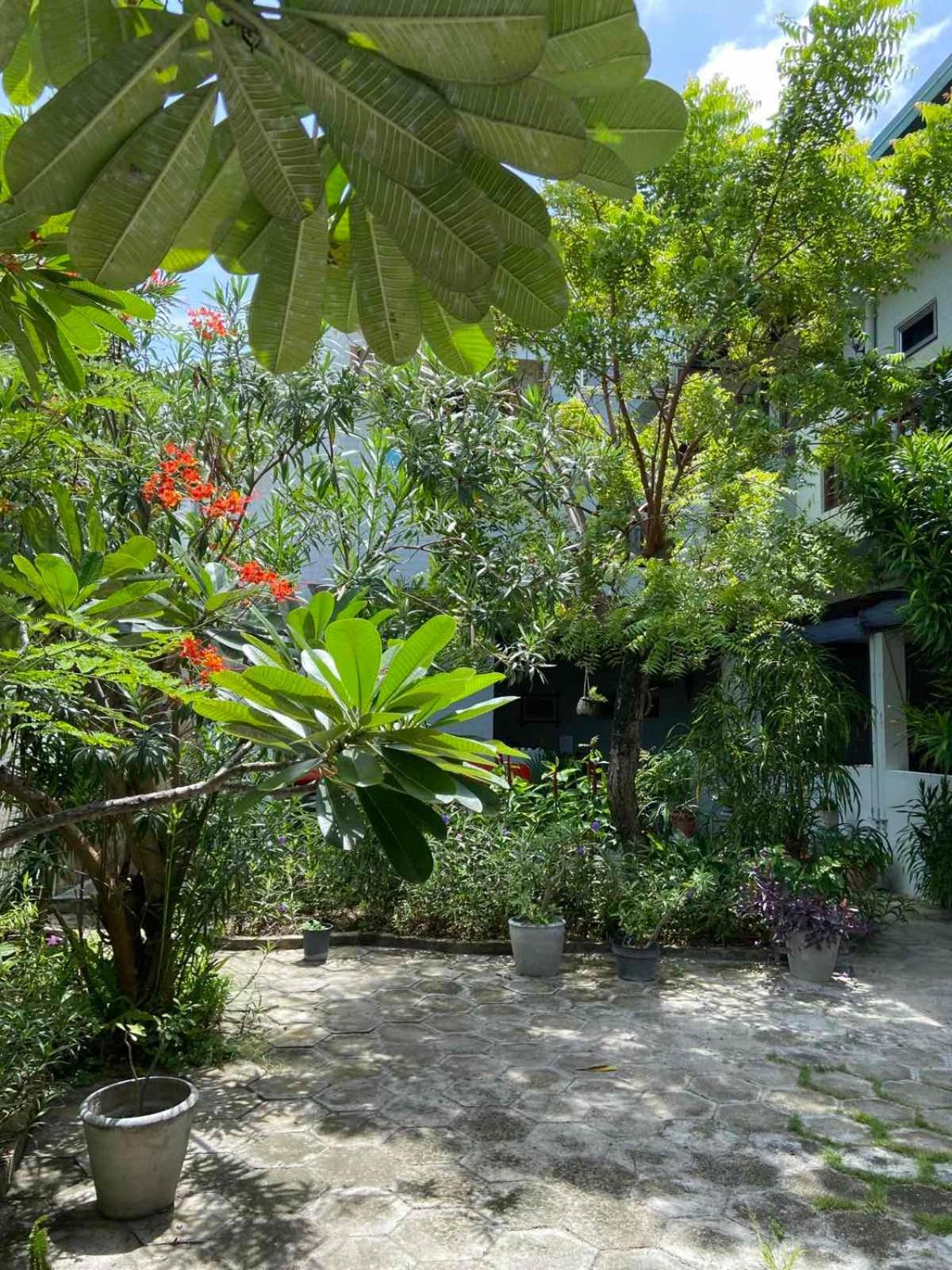 เซรูลีน วิว เรสซิเดนซ์ Hotel Hanimaadhoo Island ภายนอก รูปภาพ