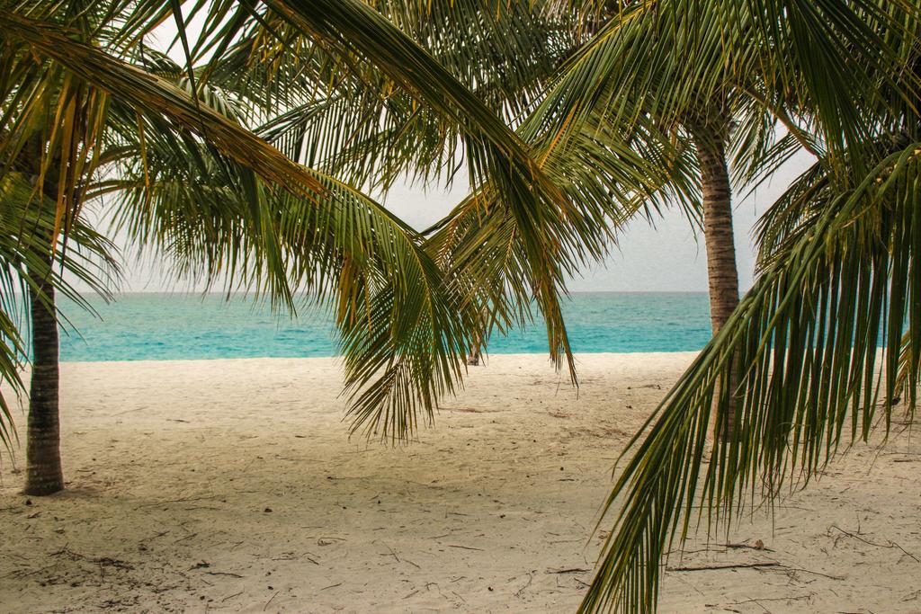 เซรูลีน วิว เรสซิเดนซ์ Hotel Hanimaadhoo Island ภายนอก รูปภาพ
